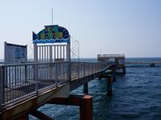 青森市浅虫海づり公園の写真2