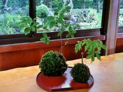 ナラ入沢渓流釣りキャンプ場の写真3