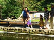 水輪フィッシングセンターの写真2