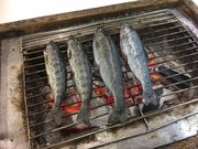 水輪フィッシングセンターの写真4