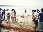 地引網「高野丸」の写真1
