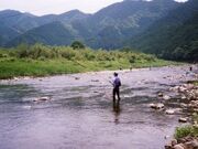 大内山川(体験観光)の写真1