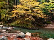 愛知川上流の写真3