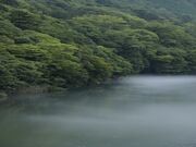 愛知川上流の写真4