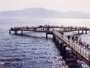 宮津市海洋つり場の写真1