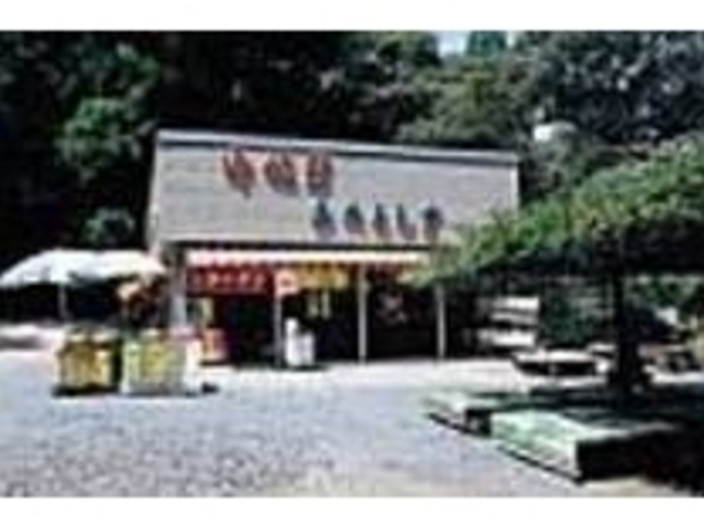 鹿島神宮の緑に囲まれた、ホッとする店内_御休憩 みたらし亭