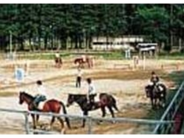 楽しい乗馬風景。本格的レッスンも行う_馬術苑 中島トニアシュタール