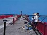 鹿島港魚釣園の写真1