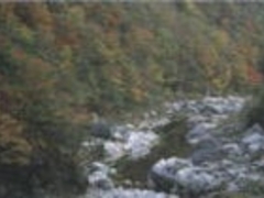 滝山峡の紅葉の写真1