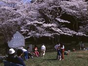 天満山公園の写真2