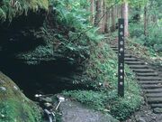 名水岩井の写真1