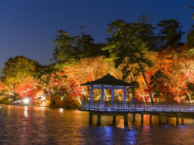 東公園の紅葉