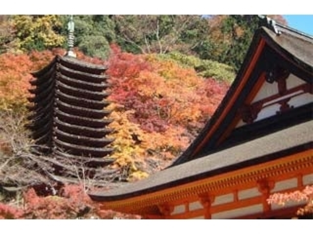 談山神社の写真1