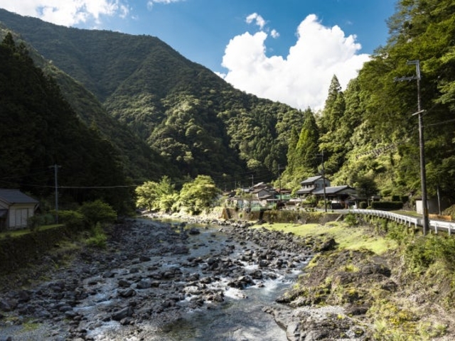 小橡川渓谷の写真1