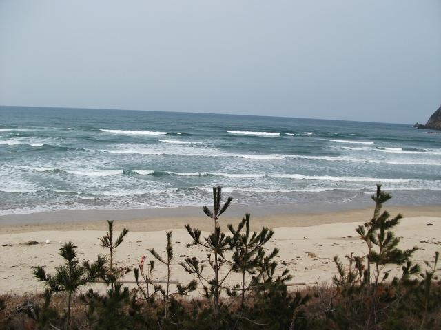 磯釣り(陸上海岸)