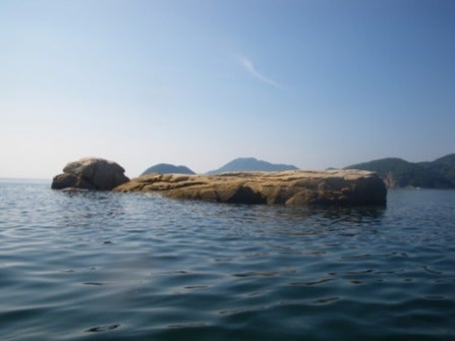 蔦島の平石