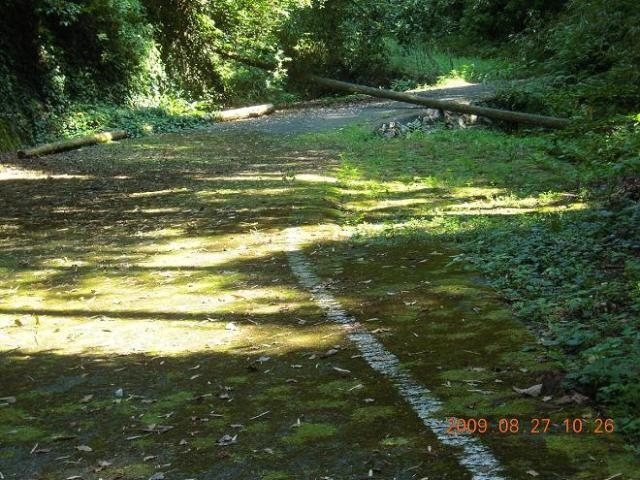 裟婆神峠の石畳の写真1