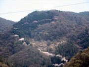 山の神千本桜の写真2