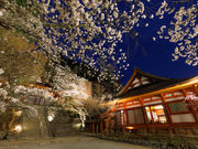 談山神社の写真3