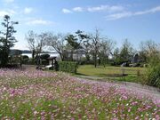 紀貫之邸跡の写真1