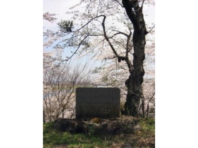 土井晩翠の歌碑の写真1