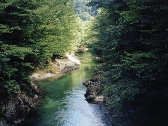 萩形渓谷の写真1