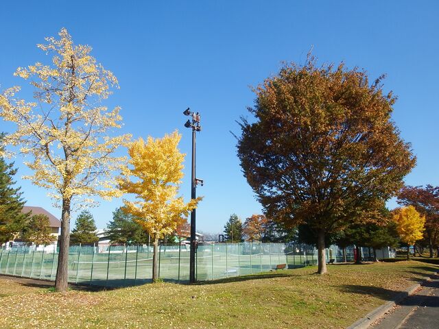 山辺町中央公園