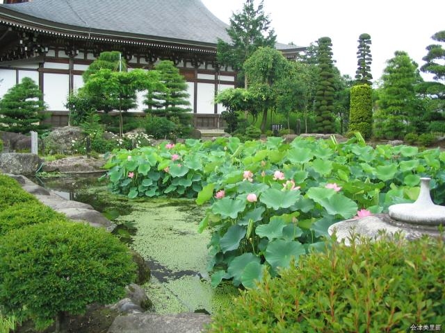 龍興寺_龍興寺華芳園の蓮