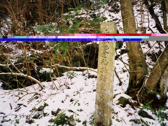 綿向山麓の接触変質地帯の写真1