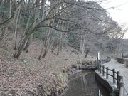 かたくりの里公園の写真3