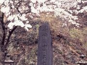 高崎藩士戦死の碑の写真1
