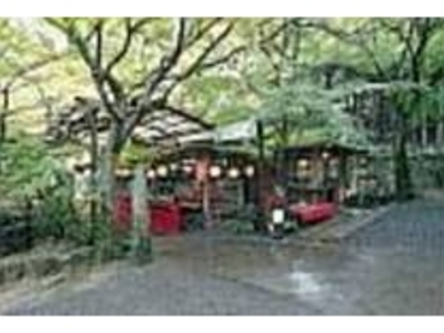 秋には店を覆う楓が見事な紅葉を見せる_指月亭