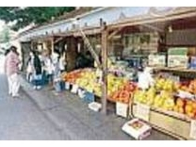 店頭に並ぶ果物はどれも新鮮なものばかり_川端出荷所