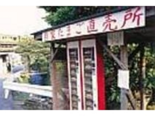 新鮮だからそのまま生で飲んでもおいしい_自家たまご直売所