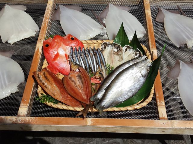 あをきのひもの