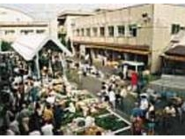 朝7時ぐらいがもっとも活気づく時間_白山市場