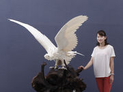 象牙と石の彫刻美術館 〜ジュエルピア〜の写真2