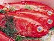 稲取漁業協同組合直売所の写真1