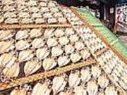 桂穂丸干魚店の写真1