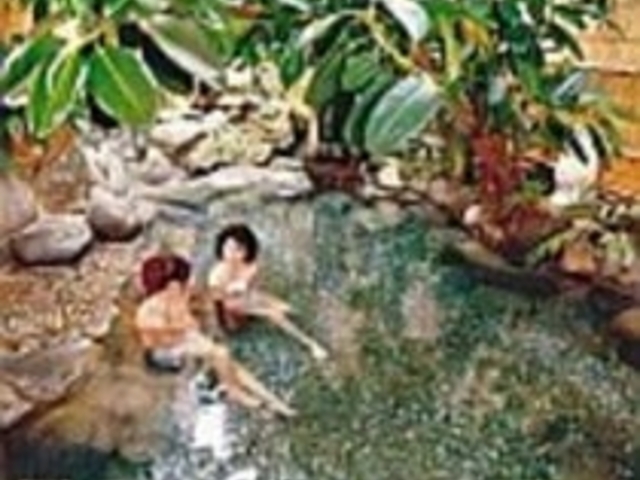 野天岩風呂。夜、朝とも女性専用時間あり_扇屋別館