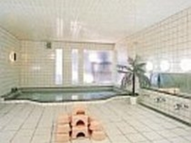 フェニックス風呂、いかにも外国人向けの造りだ_伊香保観光ホテル