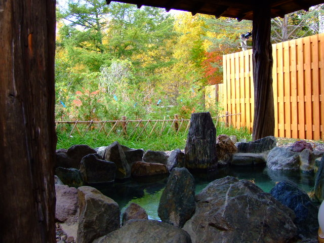 岩風呂タイプの貸切露天風呂”鶴の湯”_温泉浪漫の宿 湯の閣 池田屋