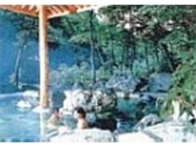露天風呂 川のせせらぎをきき、24時間入浴可能_切明リバーサイドハウス