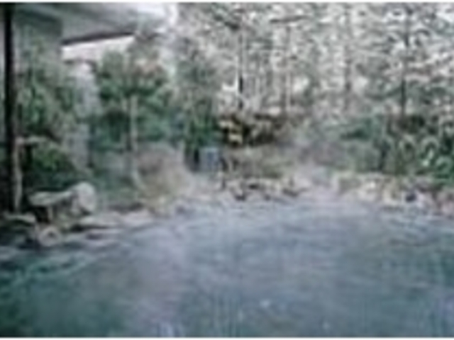 万能の湯とうたわれた庭園露天風呂でくつろげる。_湯心の宿 グランド鳳陽