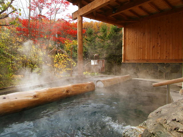 【縄文風呂 ぬりさわの湯】夢枕の湯(露天)」_愛真館