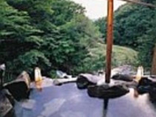 渓流の瀬音がさわやかな絶景岩風呂「天与の湯」_創業大正十五年 蓼科 親湯温泉