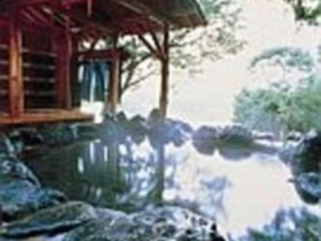 ホテル館外にあり、大自然に囲まれた絶景の露天風呂_水上高原ホテルサンバード
