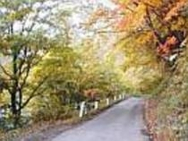 紅葉の季節は特に美しい風景となる_秋元湖サイクリングロード