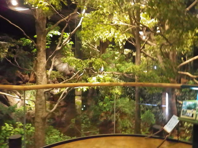 氷ノ山自然ふれあい館 響の森