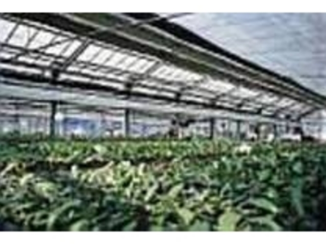 電気・ガス暖房を使用するのは千葉市唯一_ハタグリーンファーム